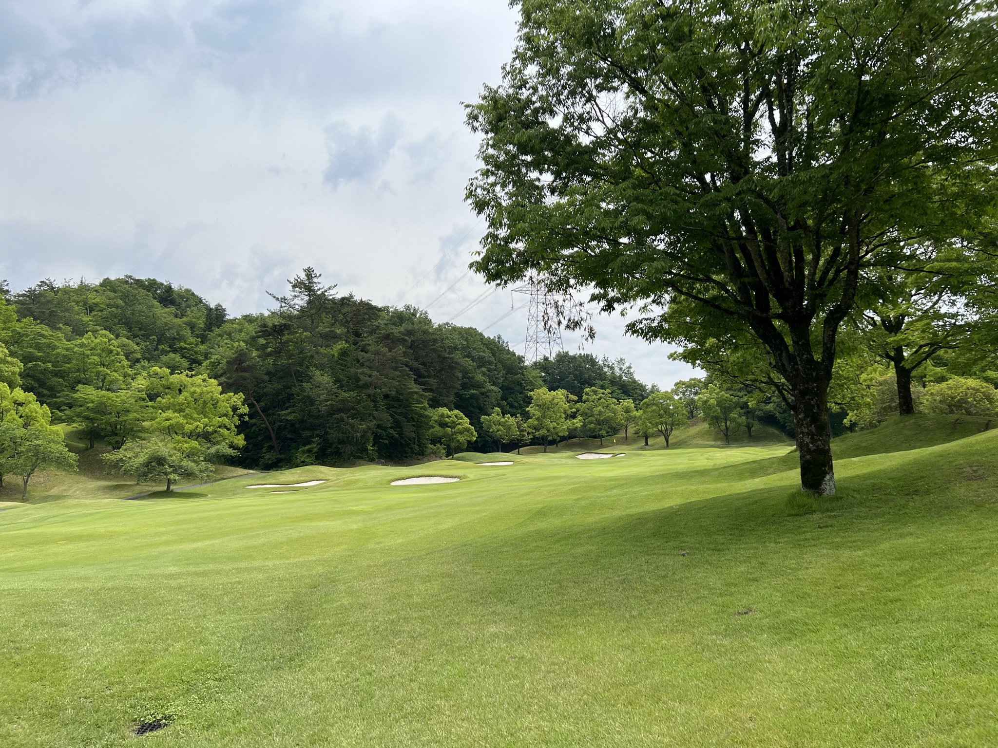 セントクリークゴルフクラブ アイチゴルフサービス 愛知ゴルフサービス スタッフブログ